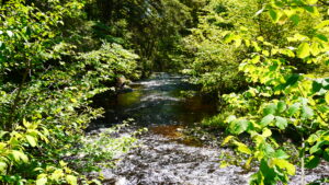 【カメラ基礎知識16】「最新」だけが正義じゃない？2024年のカメラ選びで初心者が知るべき5つの意外な真実【初心者向けデジタルカメラ完全ガイド】