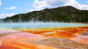 【カメラ基礎知識30】あなたの写真を「作品」に変える、初心者でも失敗しない写真展開催の5つの秘訣【初心者向け写真展開催の完全ガイド術】