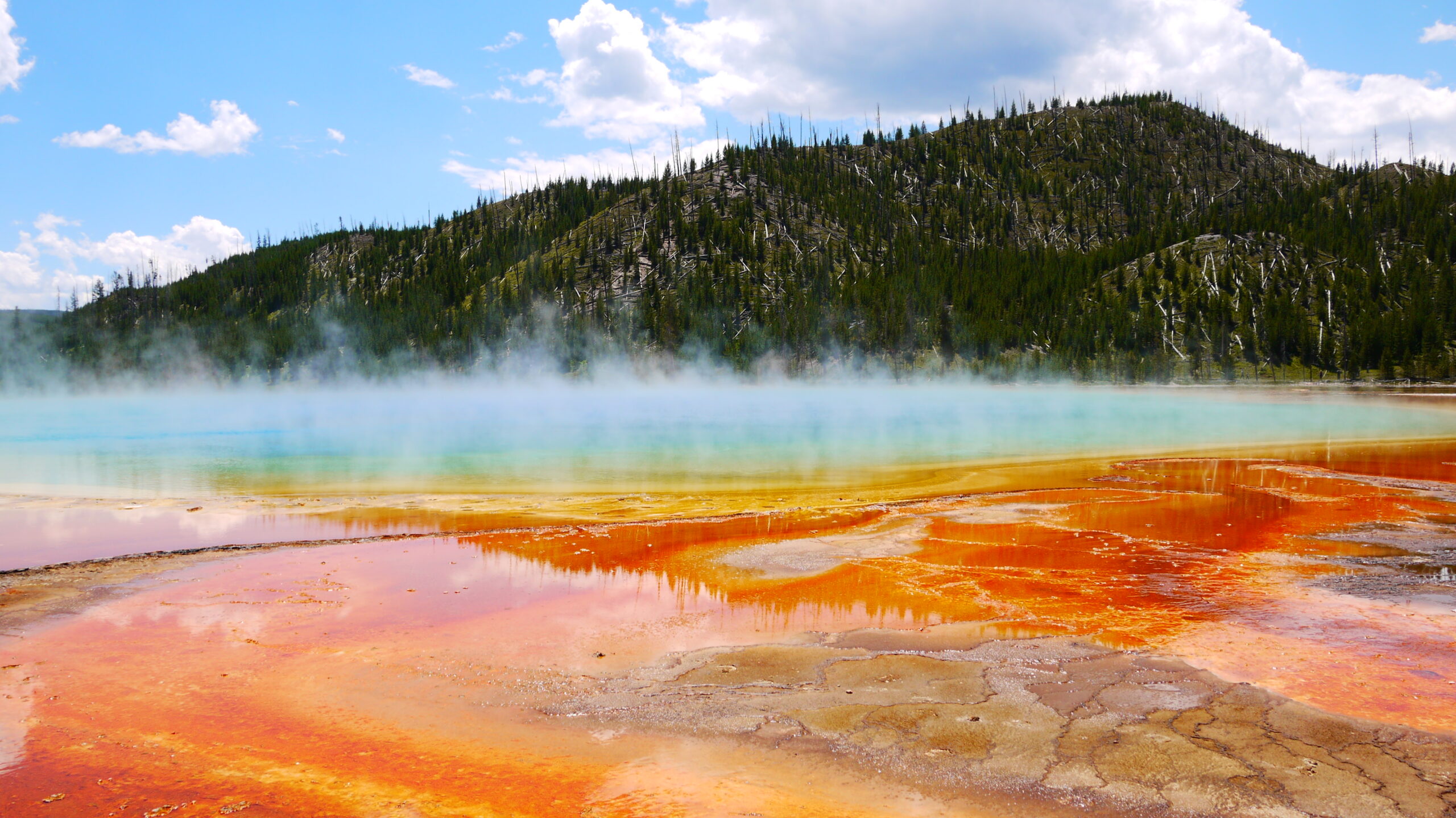 【カメラ基礎知識30】あなたの写真を「作品」に変える、初心者でも失敗しない写真展開催の5つの秘訣【初心者向け写真展開催の完全ガイド術】