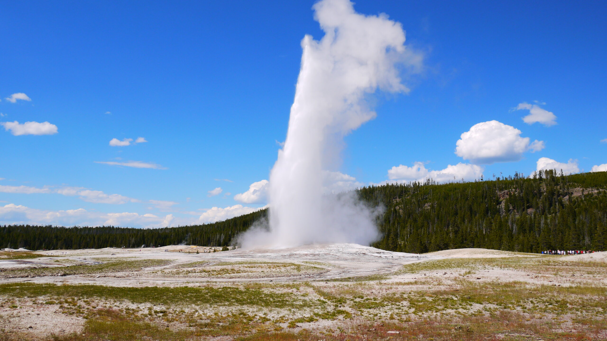 【カメラ基礎知識32】もう写真迷子にならない：プロが教える「整理の哲学」と最強の管理術【思い出を鮮やかに保つ：写真整理と管理の決定版指南書】