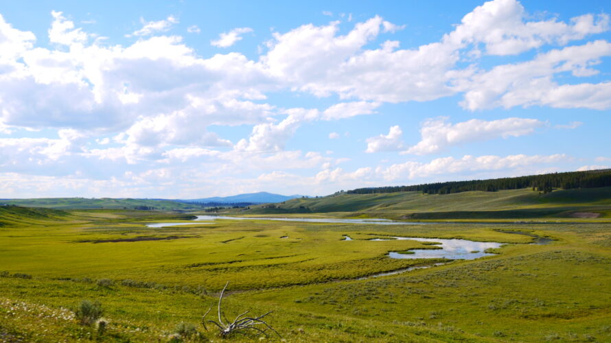 【カメラ基礎知識33】趣味の「写真」を仕事に変える：意外と知らない収益化の5つの真実【収益化とキャリア構築のための学習ガイド】