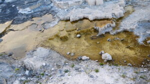 【カメラ基礎知識35】スマホ1台で「プロ級」の写真を撮るための5つの衝撃的な真実【スマホ撮影術：プロの仕上がりを実現する技法】