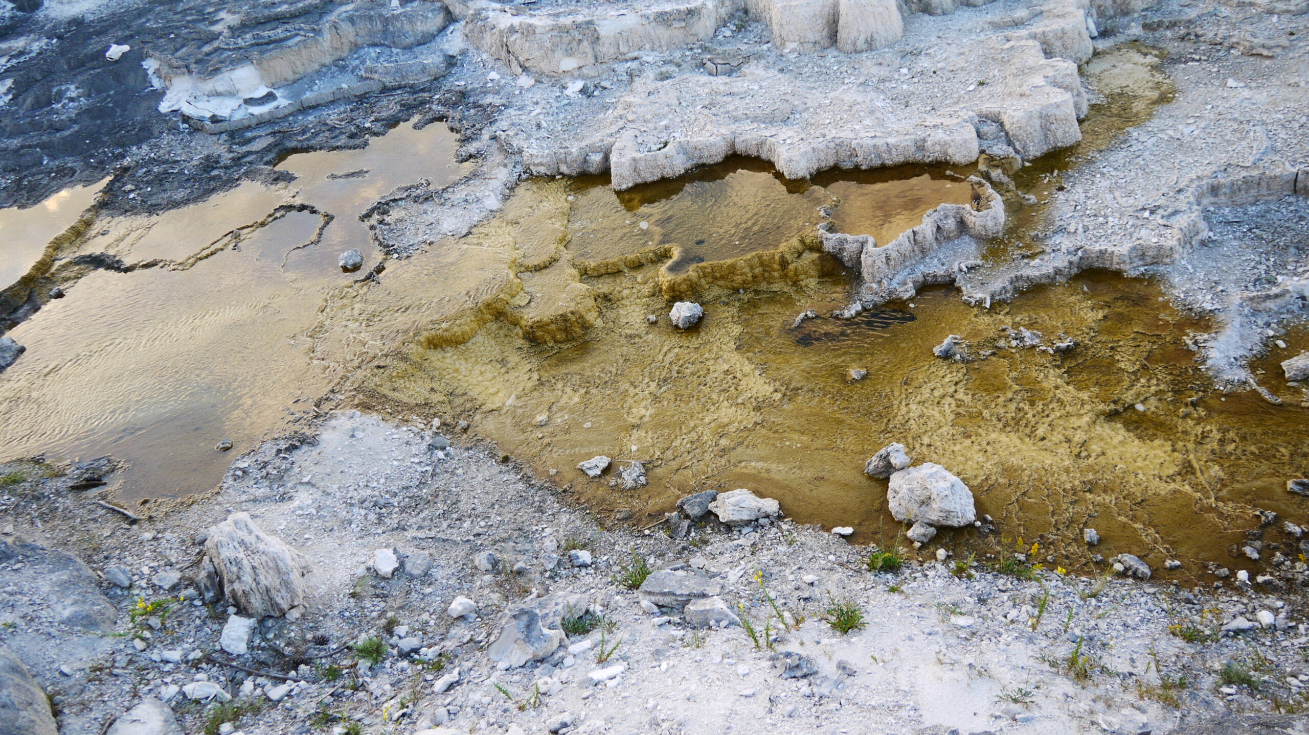 【カメラ基礎知識35】スマホ1台で「プロ級」の写真を撮るための5つの衝撃的な真実【スマホ撮影術：プロの仕上がりを実現する技法】