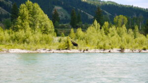 【カメラ基礎知識36】iPhone vs Android：あなたのスマホ写真を「プロ級」に変える4つの核心的違い【徹底比較：機種別スマホ撮影完全ガイド】